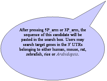 橢圓形圖說文字: After pressing 5P_arm or 3P_arm, the sequence of this candidate will be pasted in the search box. Users may search target genes in the 3' UTRs belonging to either human, mouse, rat, zebrafish, rice or Arabidopsis. 
