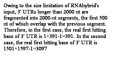 r: Owing to the size limitation of RNAhybrid's input, 3' UTRs longer than 2000 nt are fragmented into 2000-nt segments, the first 500 nt of which overlap with the previous segment. Therefore, in the first case, the real first hitting base of 3' UTR is 1+391-1=391. In the second case, the real first hitting base of 3' UTR is 1501+1597-1=3097

